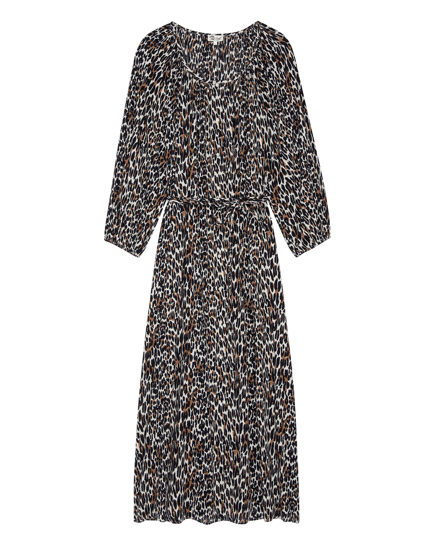 The Shoreline Coverup. -- Leopard